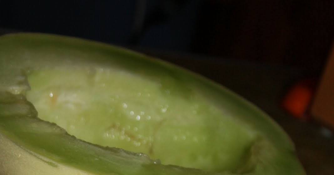 519 Kitchen MelonMango Fruit Leather